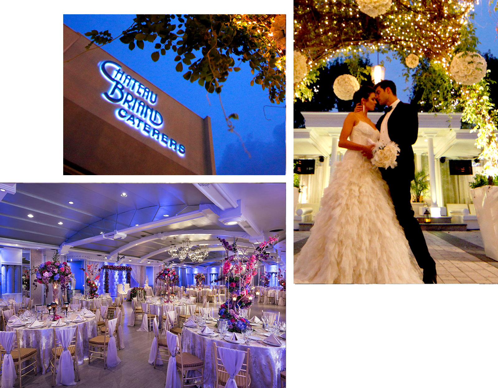 chateau briand collage pics